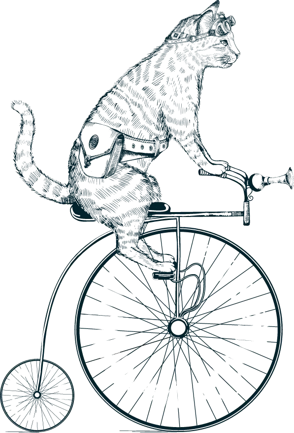 Cat on a unicycle